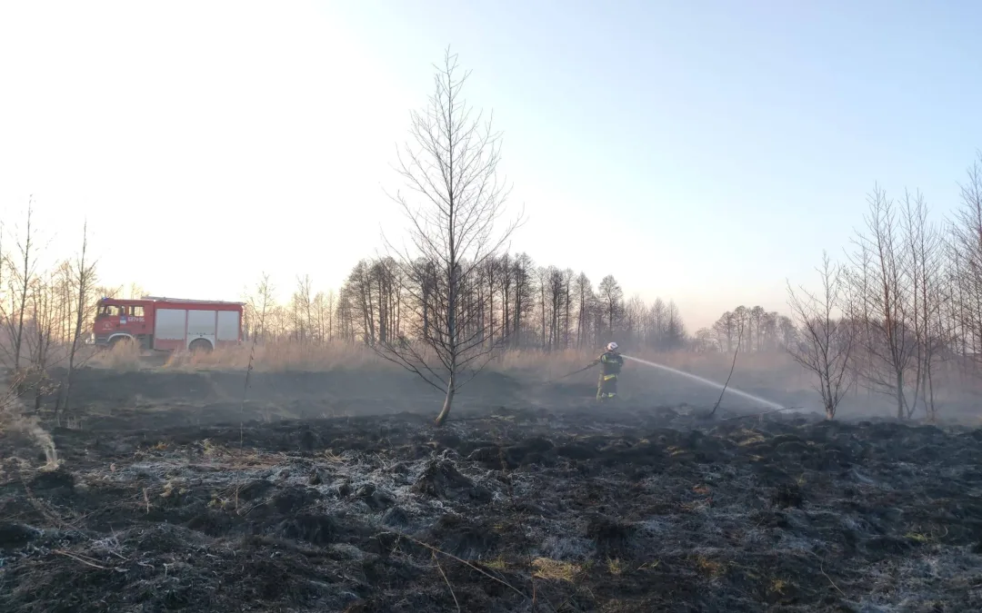 Pożar nieużytków rolnych – Stare Grabie