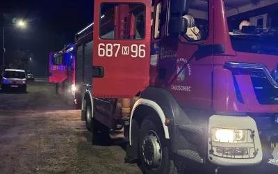 Wzbudzony czujnik czadu – Lipinki