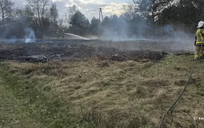 Pożar traw – Duczki