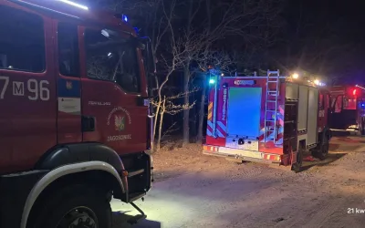 Pożar lasu – Leśniakowizna