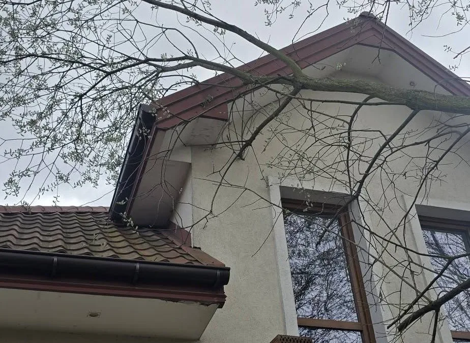 Obalone drzewo o dom – Zagościniec