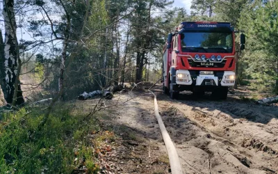 Pożar lasu – Zielonka