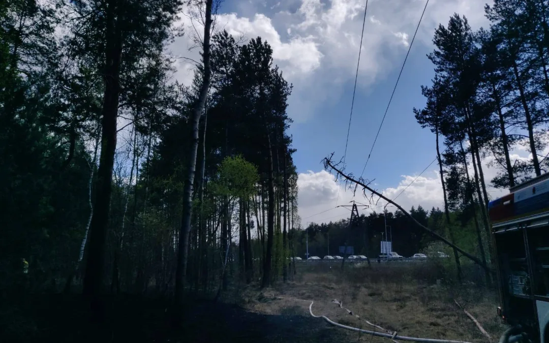 Pożar lasu – Zielonka