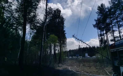 Pożar lasu – Zielonka