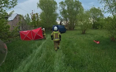 Dzikie zwierzę utknęło na ogrodzeniu