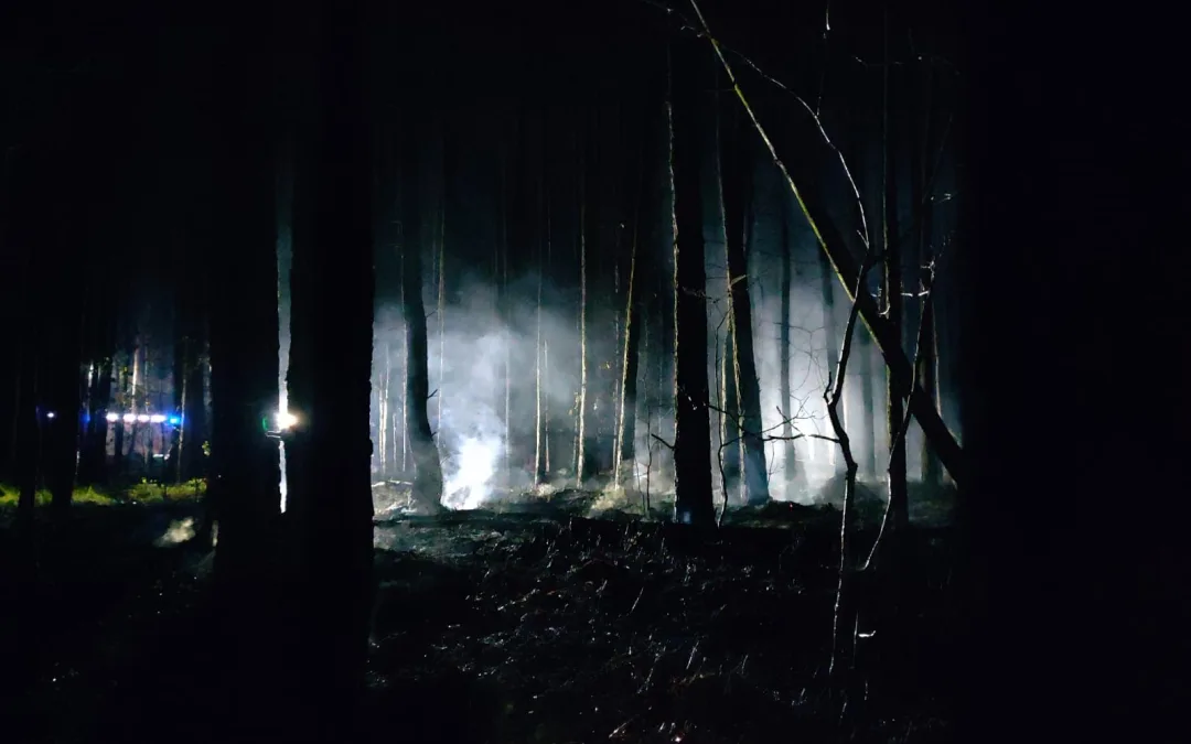 Nocny pożar lasu – Leśniakowizna