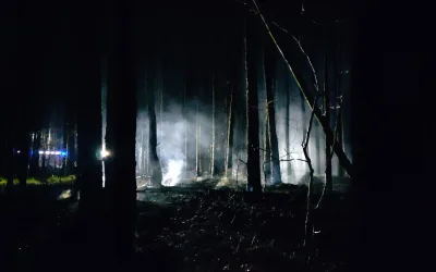 Nocny pożar lasu – Leśniakowizna