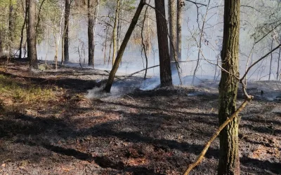 Pożar lasu – Zielonka